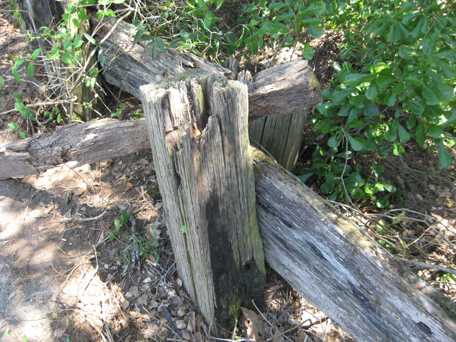 Old Wood Guardrail..Columbia Spdwy