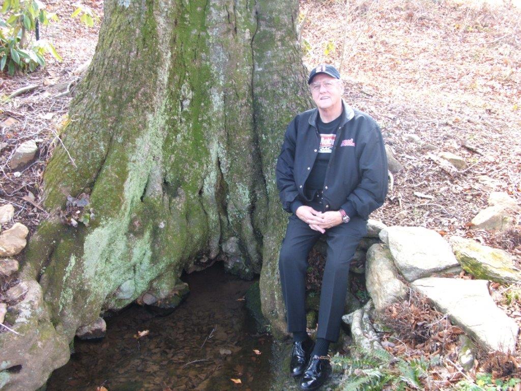 Wood old Beechtree at the old home place.