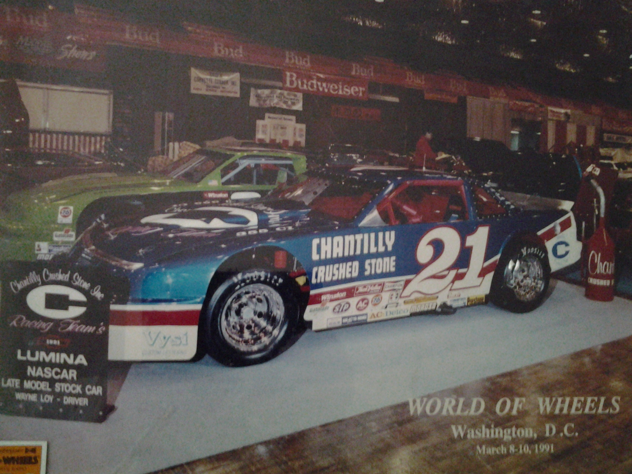 Wayne Loy