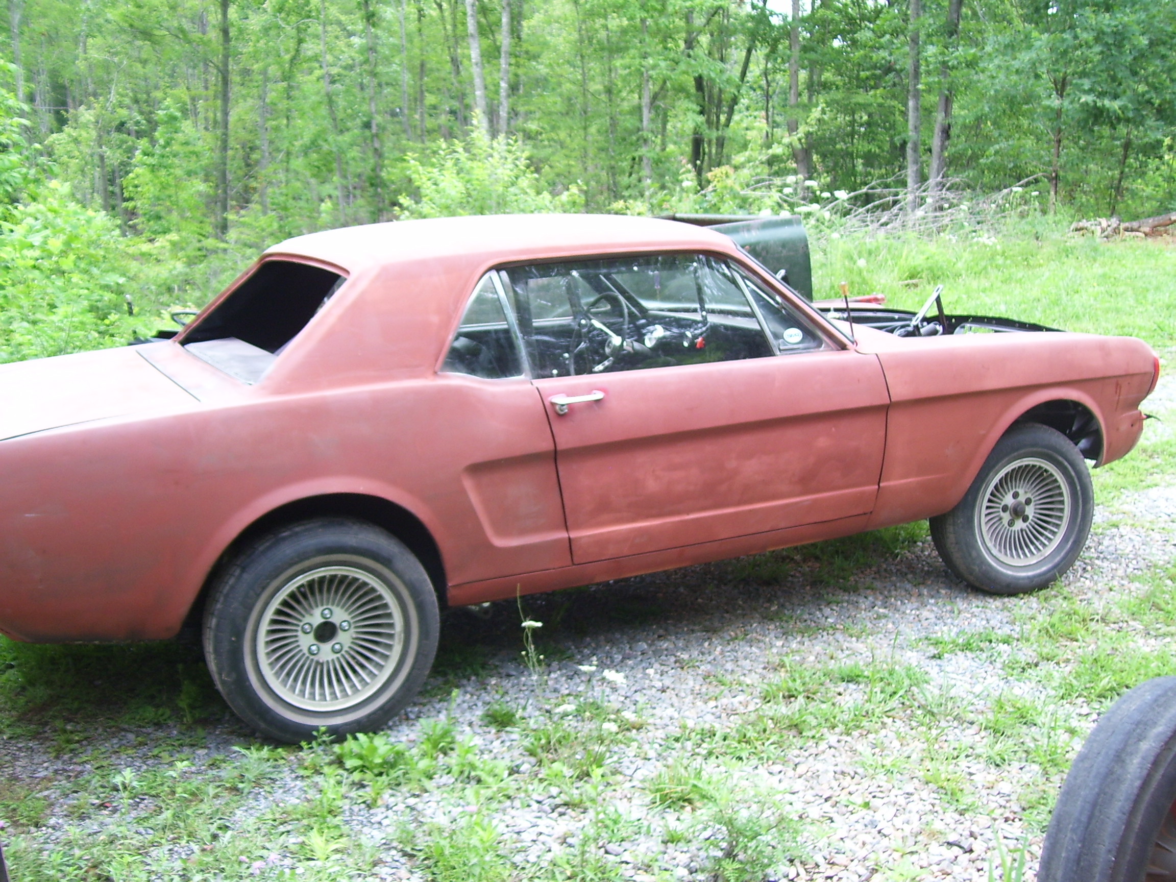 1965 Mustang