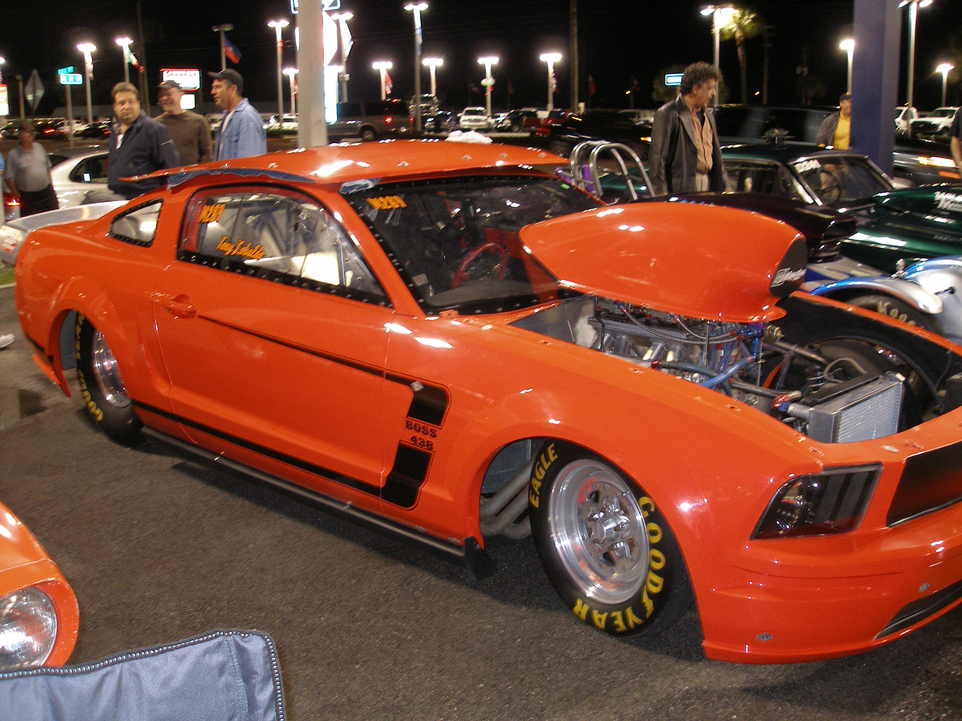 Tony Lobaldo Outlaw Mustang
