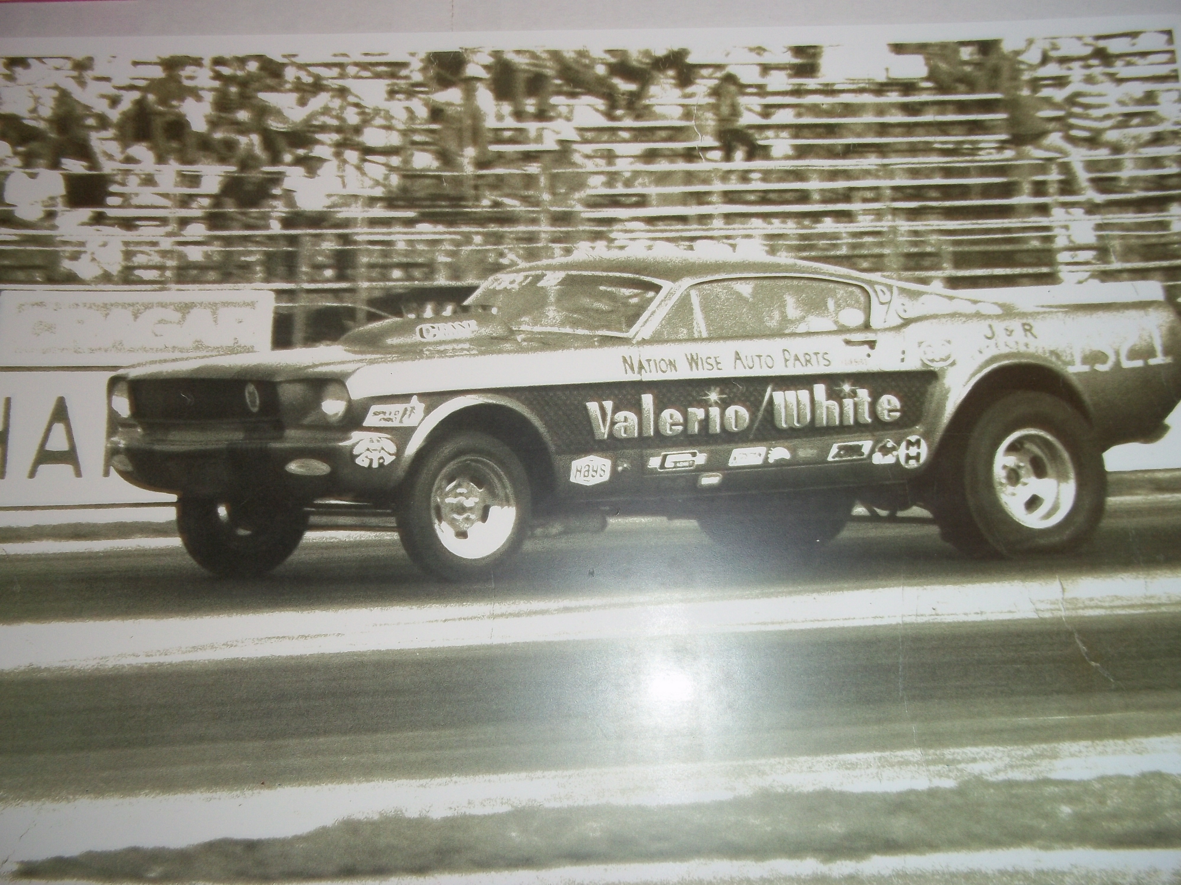 jackValerio BB/ GASSER