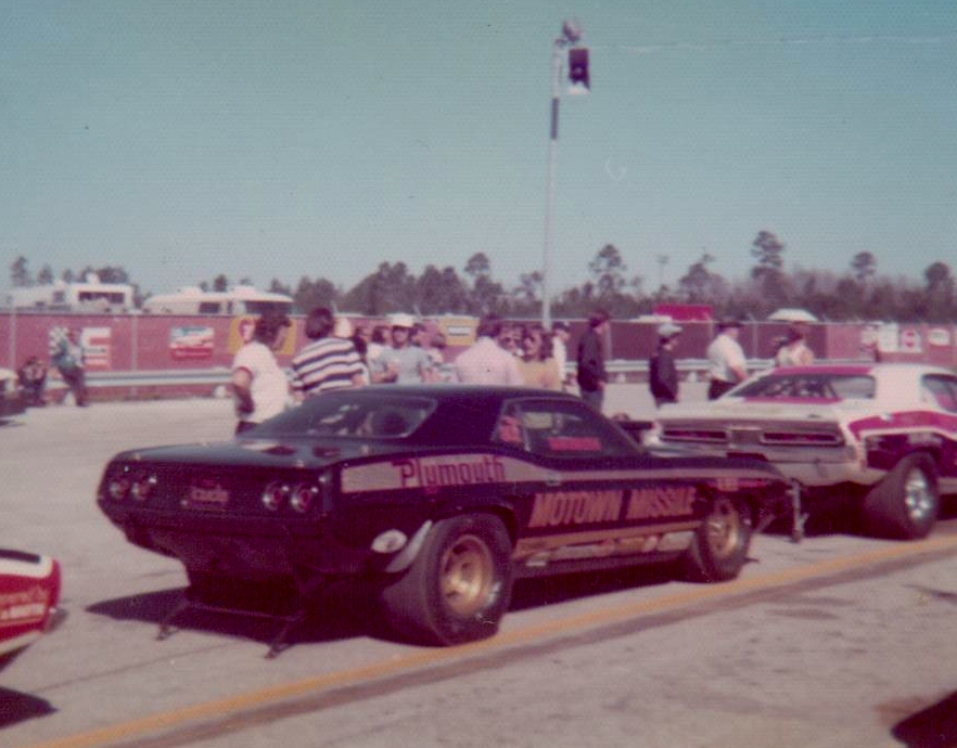 gators 012