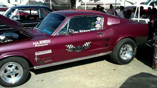 AF/X Mustang