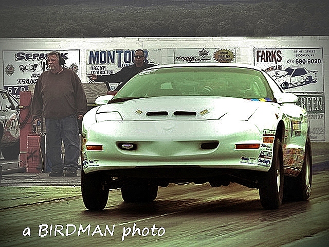 Ram Air ‘Bird’
