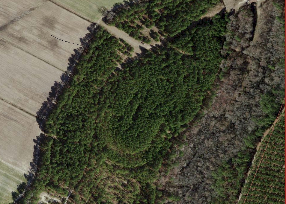 Pender County Speedway is now woods. I don’t live very far from the track location and…