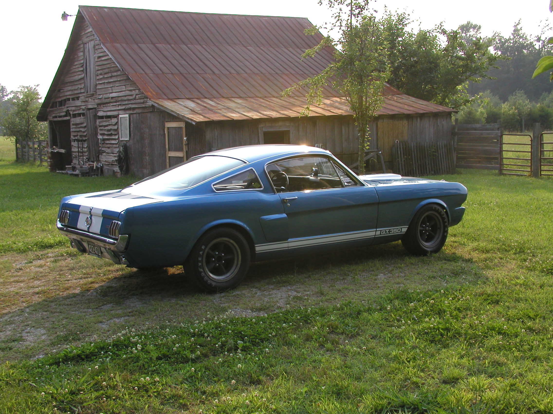 66 Shelby Semi Retired