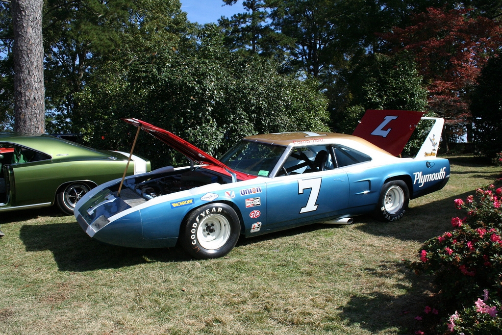 Another shot of Ramo Stott’s Bird.